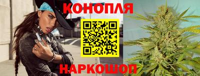 прущие грибы Гусиноозёрск