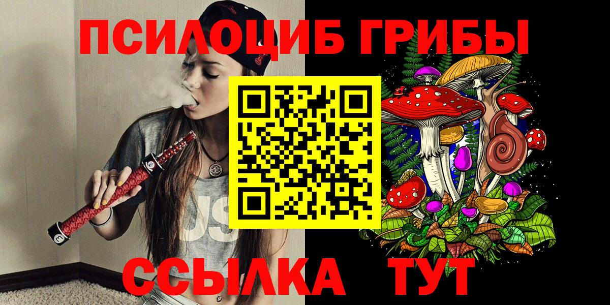 Люберцы  Псилоцибиновые грибы MAGIC MUSHROOMS  Вход с VPN 