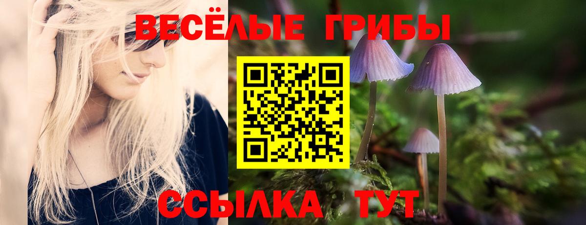 Псилоцибиновые грибы Psilocybe Люберцы